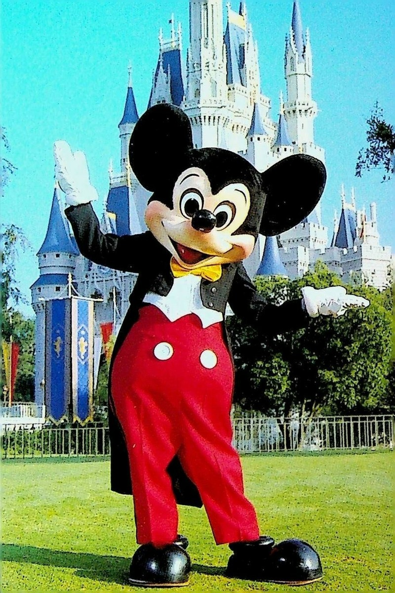 Mickey Mouse Walt Disney World Postcard Magic Kingdom WDW-11604