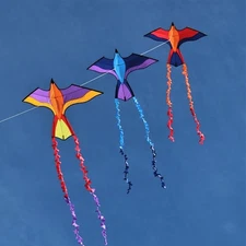 Kids Delta Kite Tropical Parrot Stack Train + Line + Tails + Carry Bag LOT OF-3