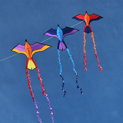 Kids Delta Kite Tropical Parrot Stack Train + Line + Tails + Carry Bag LOT OF-3