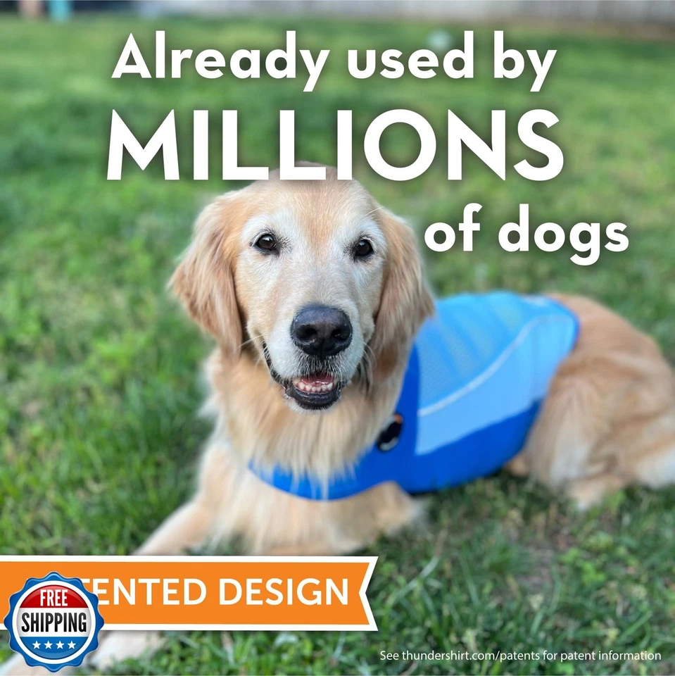 ThunderShirt Breeze para Perros, Grande, Azul Cielo, Tela de Malla Extra Transpirable, Foto 2 de 4