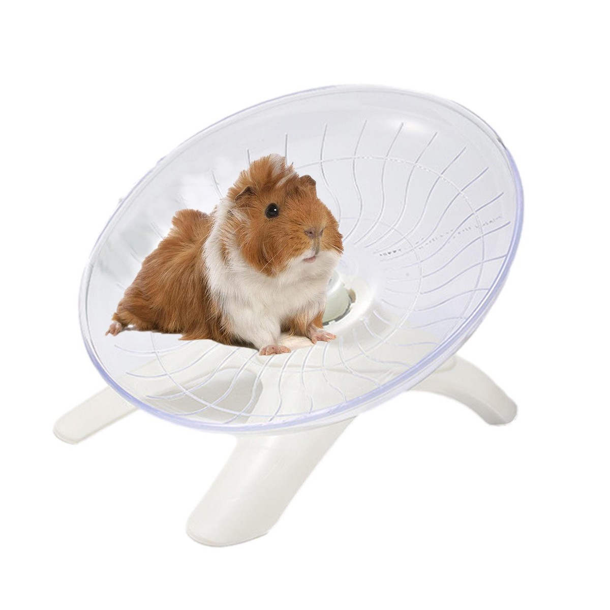 Dwarf Hamsters Hamster Saucer Wheel Dwarf Hamster Cage Silent