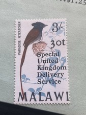 1968 Malawi Mint Stamp. Birds Paradise Flycatcher. Special UK Delivery Service.