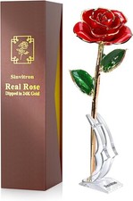 Sinvitron Gold Dipped Infinity Rose - Eternal Resin-Preserved Rose  Forever Flo