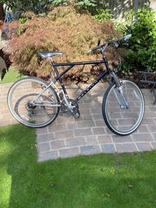 raleigh activator mountain bike