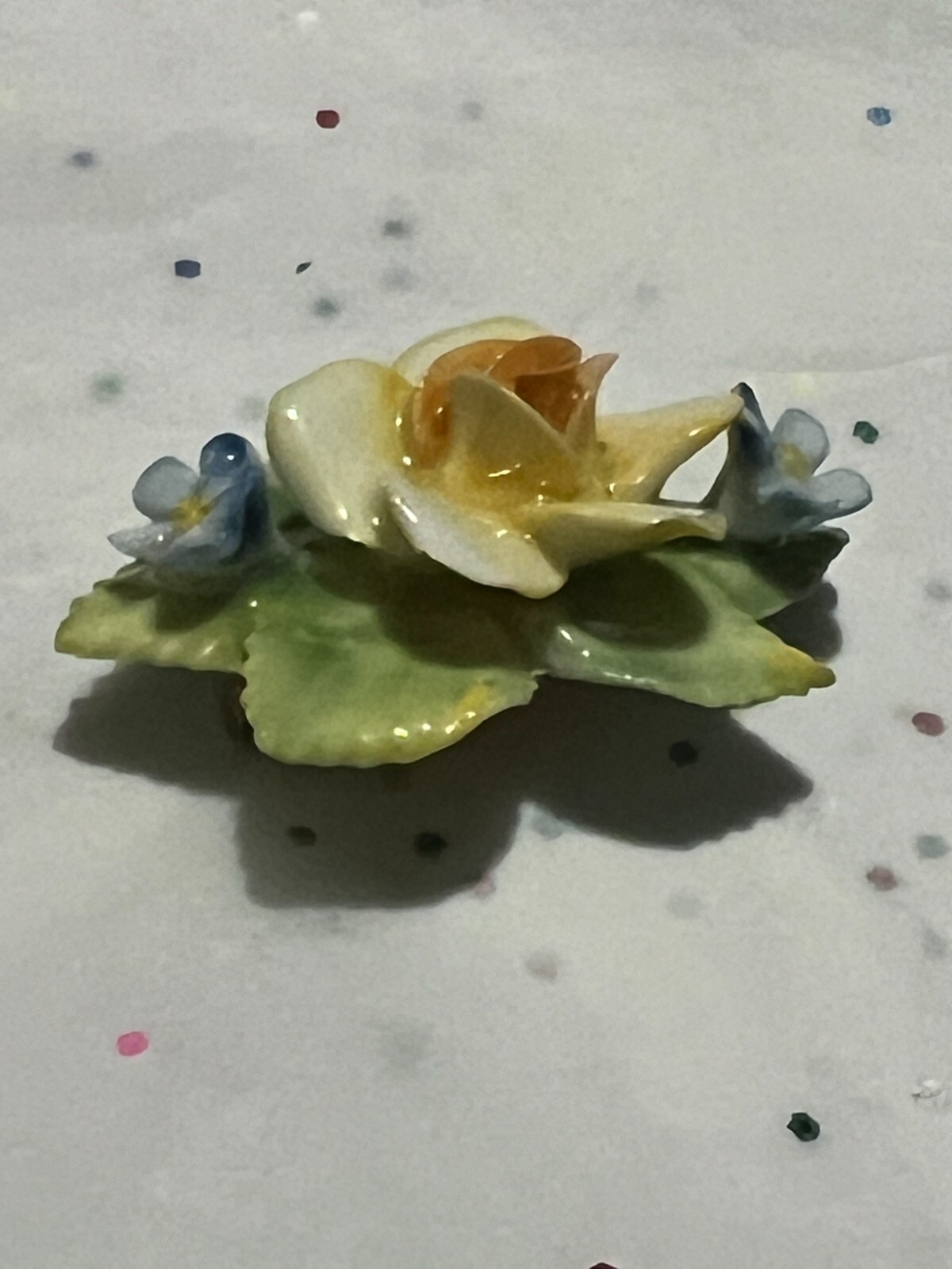Picture 9 of 12