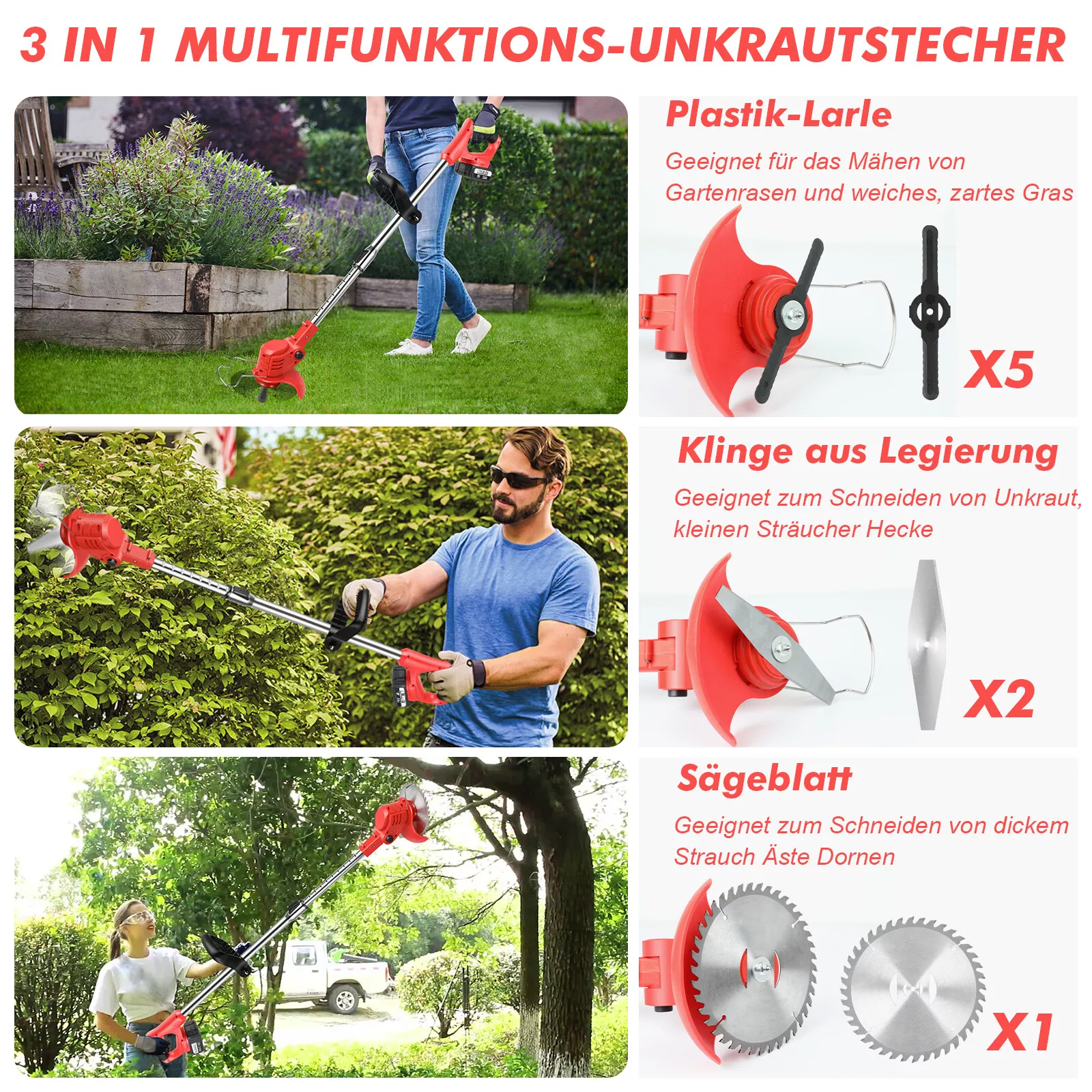 Bild 6 von 15