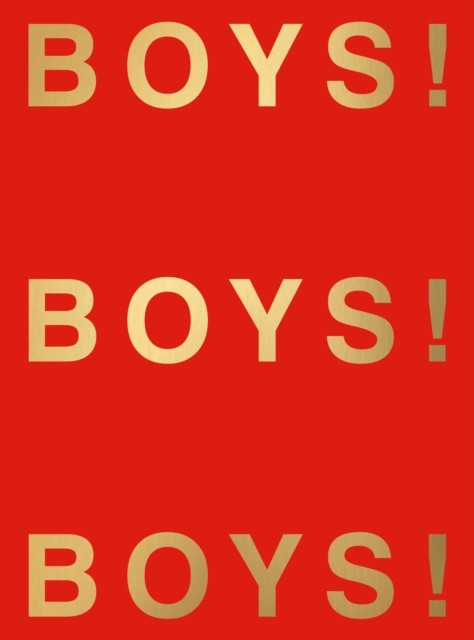 Boys! Boys! Boys!: Volume 11 by Ghislain Pascal NEW - Image 5