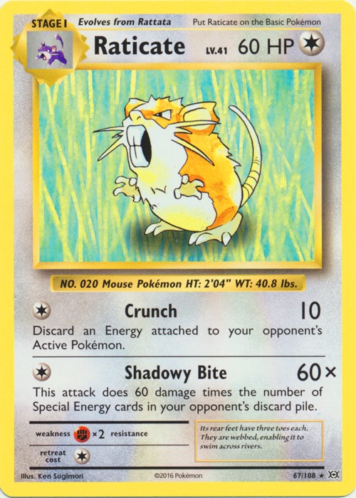 Raticate