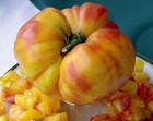 Tomato Seed Heirloom Organic Big Rainbow 50 Seeds Garden
