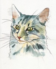 Dipinto originale ad acquerello firmato di gatto