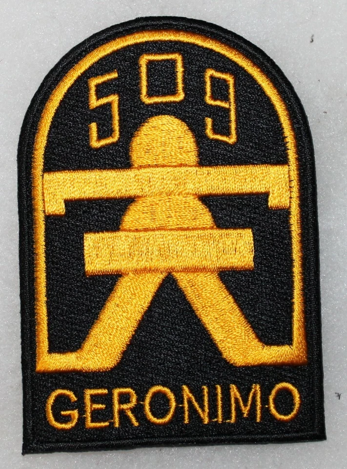 patch du 509 TH PIR parachutiste américain WW2,Aiborne ,USA Provence Dragoon
