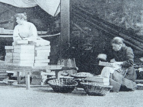 France Biarritz Traditional Craft Fishing WOMEN PACKING SARDINE c1905 Postcard - Picture 2 of 3