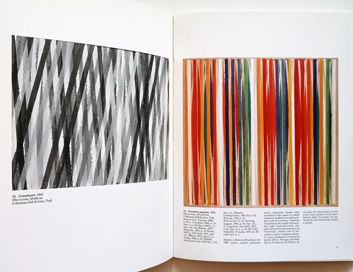 Piero Dorazio Galleria Nazionale d'Arte Moderna Roma 1983 Electa Antologica - Bild 7 von 11