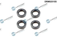 Dr.Motor Automotive Dichtring, Kerzenschacht DRM02515S FüR Chrysler Mini