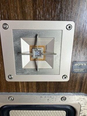 Pair Of Sony APM-22ES Speakers 6 Ohm 160w Tested Missing One Grill