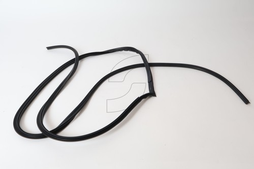 MS-314520159 DOOR DUST-PROTECTION SHIELD  Maserati NEW Photo - $301