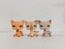 3pcs/lot Littlest Pet Shop Figure LPS Short Hair Cat 1643 886 228 Kid Toy