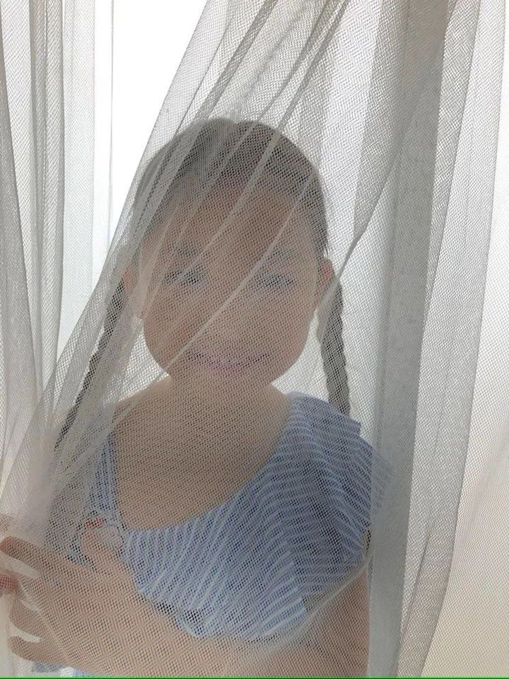 STOFFBOOK NETZ FLIEGENGITTER STRETCH JACQUARD BLÜMCHEN STOFFE ~17 FARBEN #SG27 - Bild 3 von 3