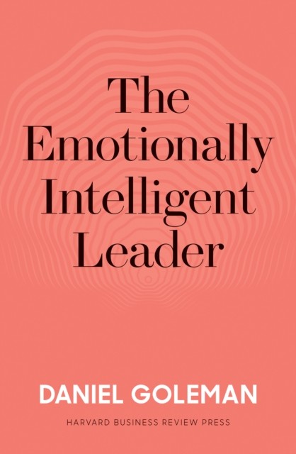 The Emotionally Intelligent Leader - Image 5