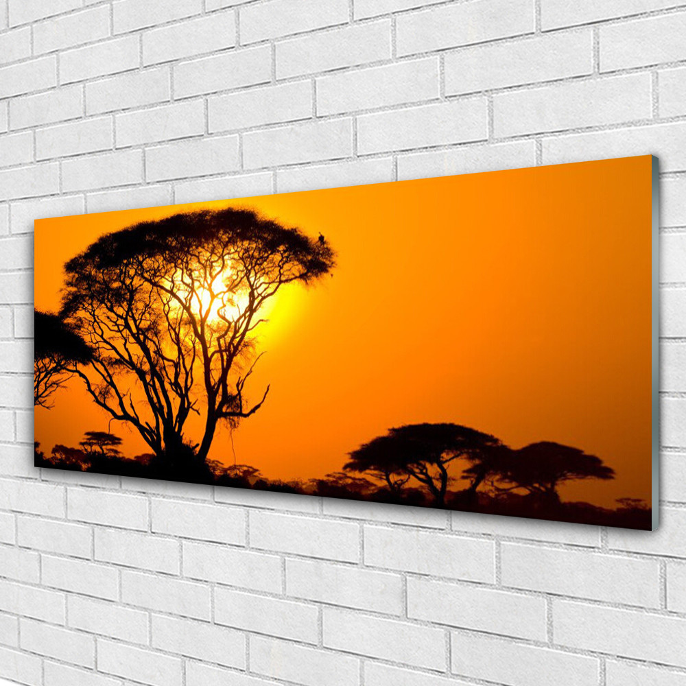 Tableau Plexiglas Nature de 125x50 cm avec Arbres et Soleil pour Salon