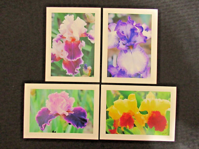 Set of 4 - Close-Up Iris Flowers Homemade Greeting Cards Embossed Purple Yellow