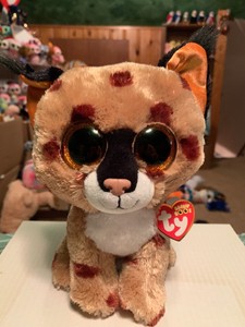buckwheat beanie boo