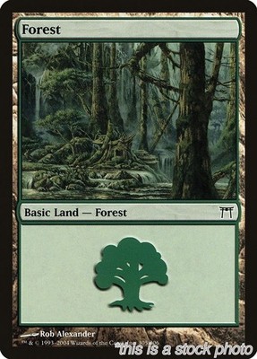 Forest [CHK - 305MagicLP