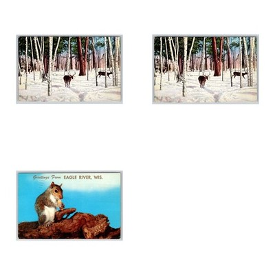 Lot of 3 Vintage Eagle River Postcards Wisconsin Linen Three Deers Snow