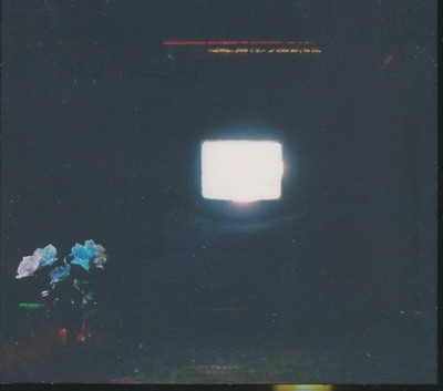 Emeralds: Does It Look Like I'm Here? MUSIC AUDIO CD electronic ambient! AUSTRIA