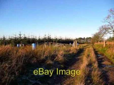 Photo 6x4 Pheasant rearing at Auchmannoch Auchmillan Strangely the blue  c2007