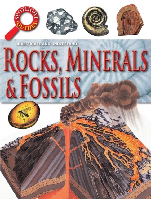 Rocks Minerals and Fossils by Neil Curtis (Paperback Book)