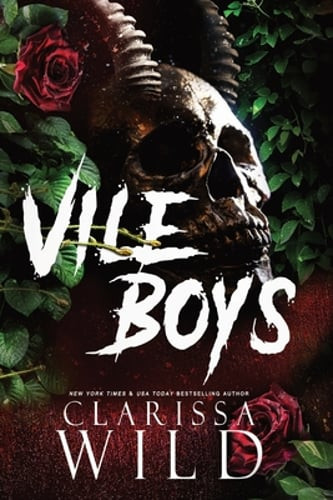Vile Boys by Clarissa Wild: Used