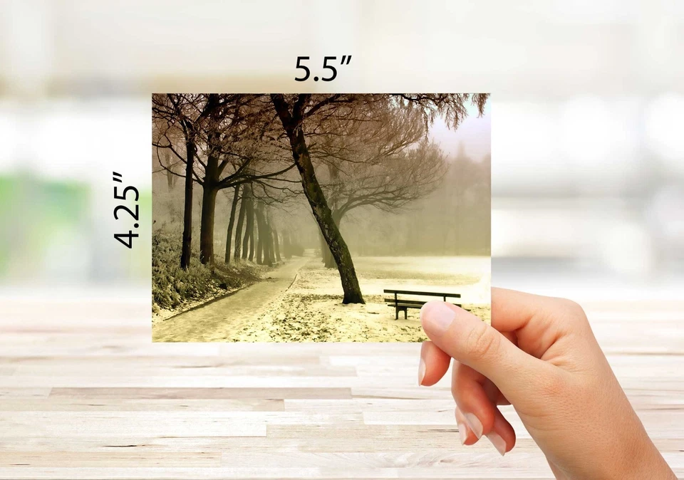 Hermosas tarjetas de escenas de invierno - en blanco por dentro - 5,5"x4,25" 12 o 24 paquetes Foto 3 de 4