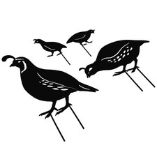  4 Pcs Metal Quail Yard Decor Garden Ornaments Outdoors Family Art