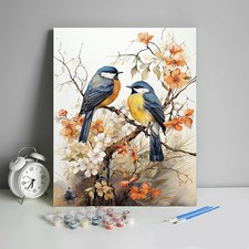 HULDFRDA Paint by Numbers for Adults Birds 16 inches 20 inches, Bird