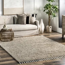 Neva Modern Tasseled Shag Area Rug, 3x5, Beige