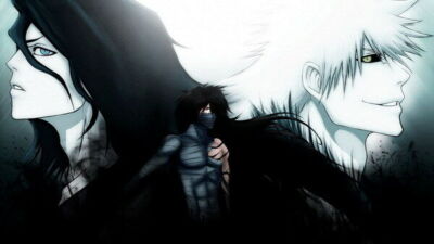 281873 Bleach Dead Rukia Ichigo Fight Japan Anime PRINT POSTER