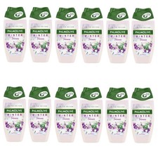 12er Pack PALMOLIVE Women Duschgel - Winter Träume - 12 x 250ml