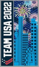 Beautiful 2022 Beijing USA Olympic Team Skyline Fireworks Pin