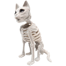 Realistic Skeleton Cat Decor Plastic Halloween Prop for Indoor For Spooky Setup