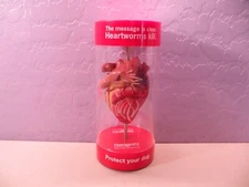 Anatomical Canine / Dog Heart model Veterinary Display B