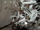 Bild 11 von 12