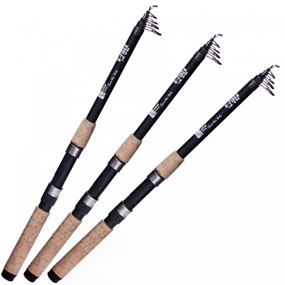Allround Angelrute Teleskoprute Aal Karpfen Hecht 2,70 m 3 Stck Zite  Fishing | eBay.de