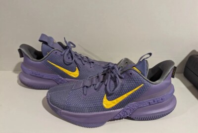 Nike LeBron Ambassador 13 Lakers