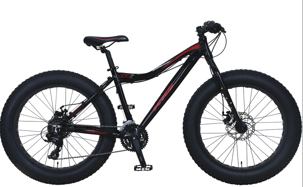 fat bike 16