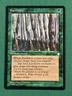 Earthlore, Ice Age, Magic the Gathering MTG