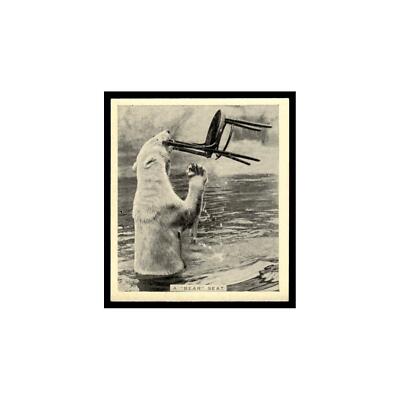 A Bear Seat 1935 De Reszke Our Favourites #29 Tobacco Card VG