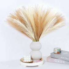 Pampas Grass Decor 30 Pcs 21.7 Inch Faux Brown Pampas Grass Bulk Artificial Drie