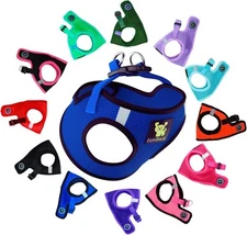 EcoBark Step in XXXS- 2 to 3 lbs- Chest up 10 (Pack of 1), Royal Blue 