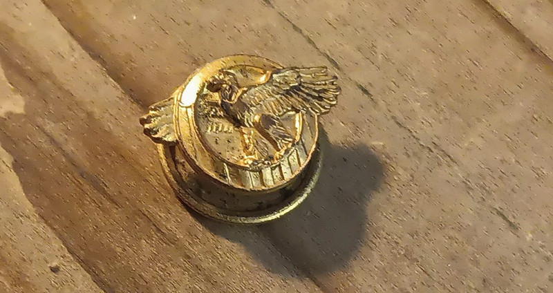 Vintage Eagles Fraternal Order of Eagles FOE Collar Stud Lapel Pin   no reserve